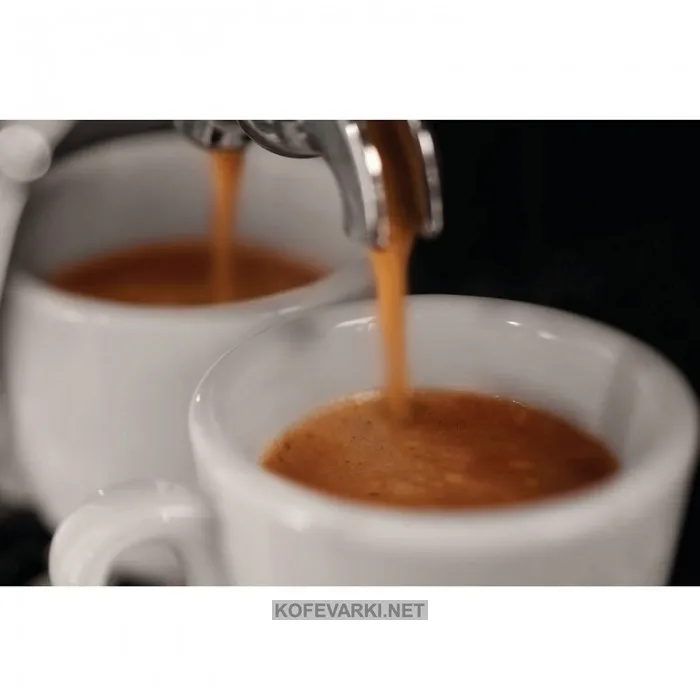 Кофеварка Gaggia Classic в Москве и Московской области от магазина Ammina
